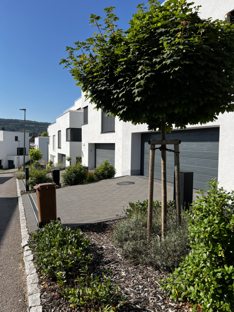 Ellerberg - Wasserbillig (Lux) 